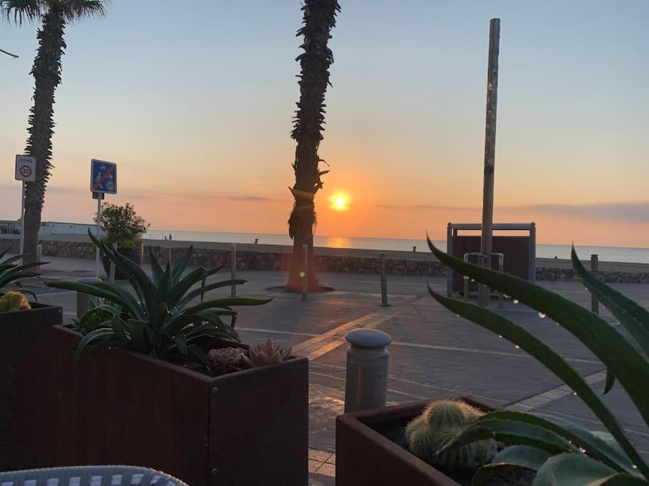 Suite 21 - Clim - Front De Mer Canet-en-Roussillon Bagian luar foto